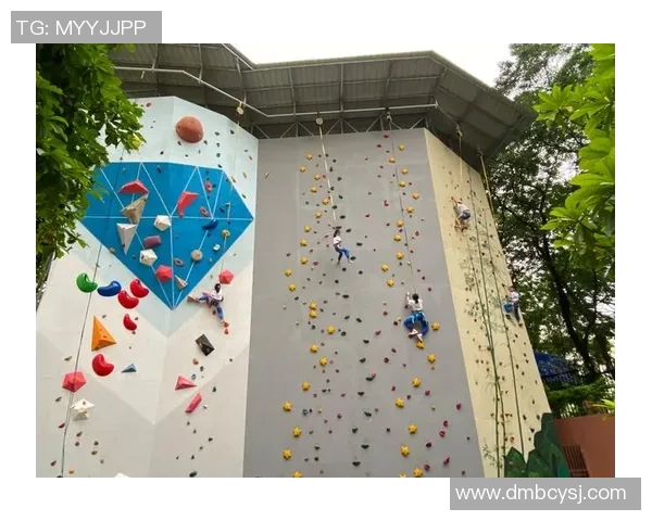 北京攀岩队心理素质探讨：挑战自我与团队协作的心路历程