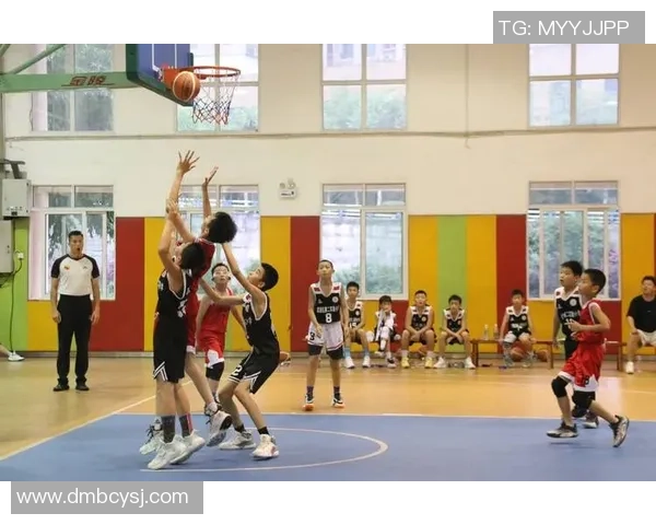 重庆篮球队选拔赛表现分析：经验与技巧的较量与提升